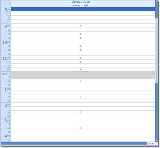 Example Appointment Book schedule for a Practitioner's day, showing different appointment types in different colours