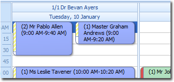 Appointment Book showing multiple bookings at the same time