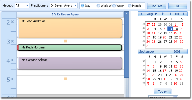 Example Appointment Book window